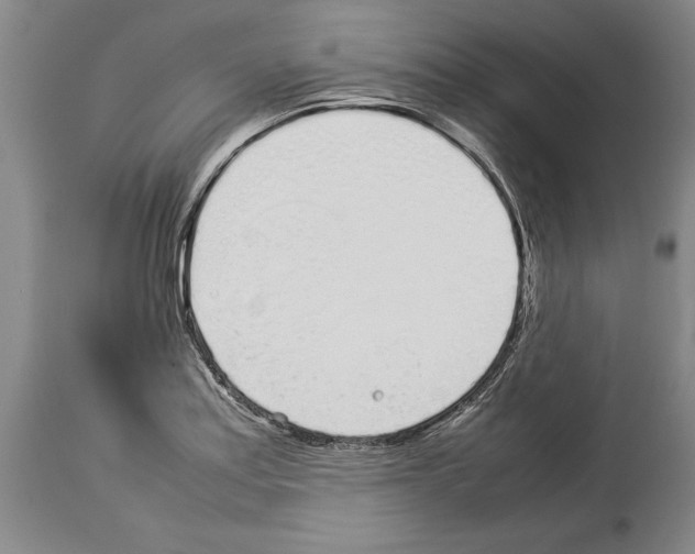 X0000113931179200911061212