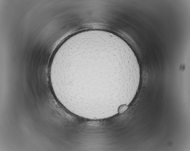 X0000113931182200911061212