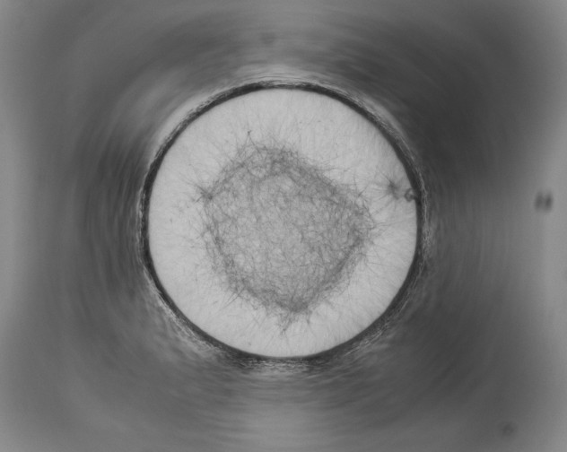 X0000113931183200911061212