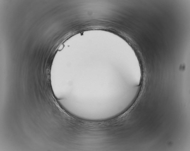 X0000113931185200911061212