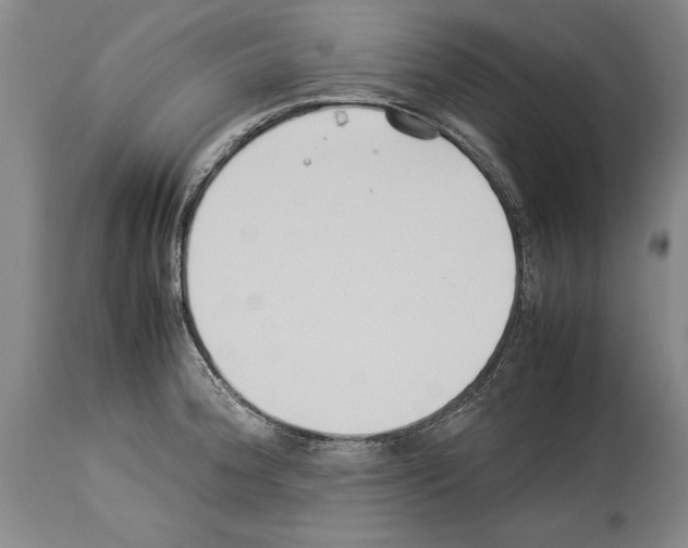 X0000113931188200911061212