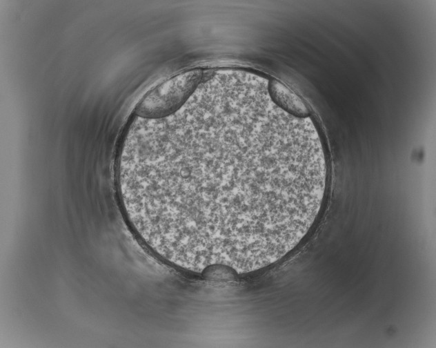X0000113931189200911061212