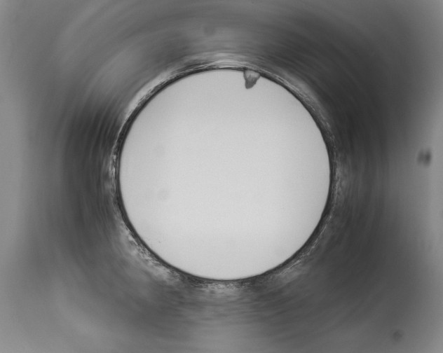 X0000113931190200911061212