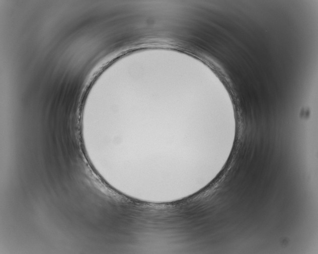 X0000113931192200911061212