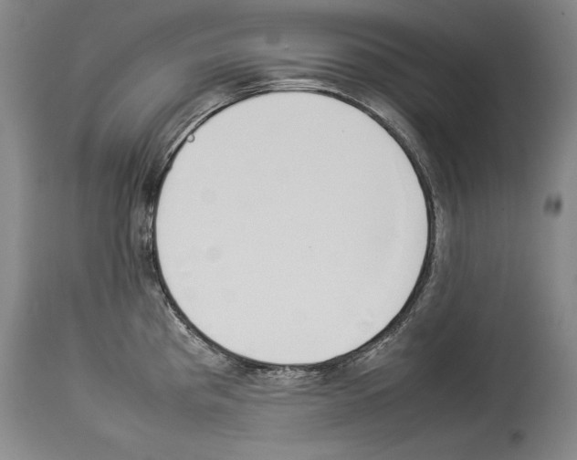 X0000113931193200911061212