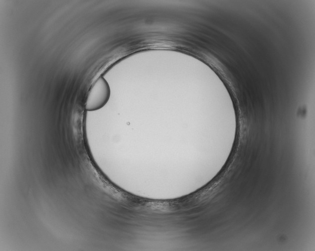 X0000113931194200911061212