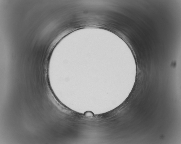 X0000113931195200911061212