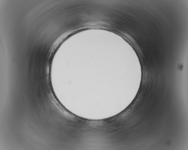 X0000113931196200911061212