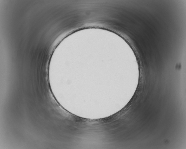X0000113931199200911061212