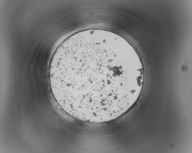 X0000113931200200911061212