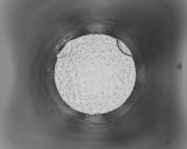 X0000113931201200911061211