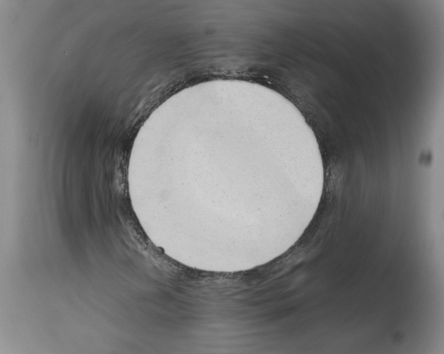 X0000113931202200911061211