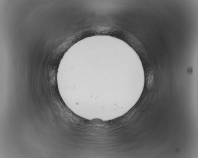 X0000113931204200911061211