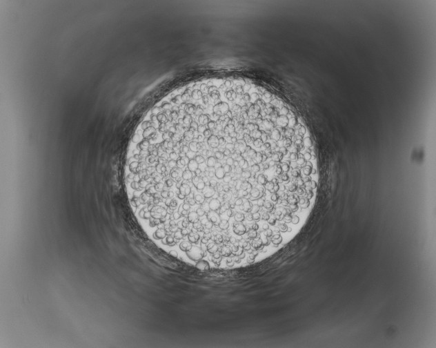 X0000113931205200911061211