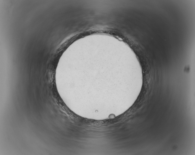 X0000113931206200911061212