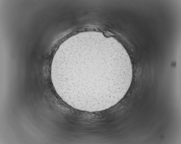 X0000113931207200911061212