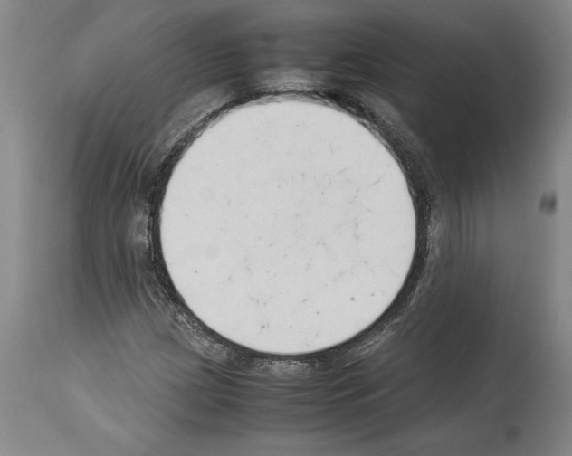X0000113931209200911061212