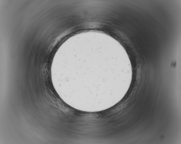 X0000113931210200911061212