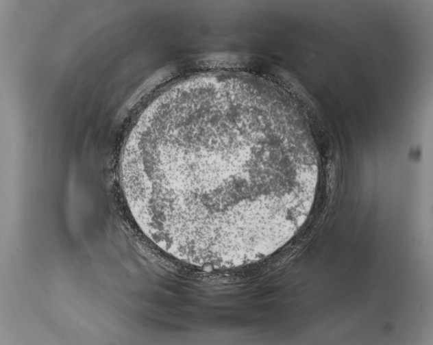 X0000113931213200911061212