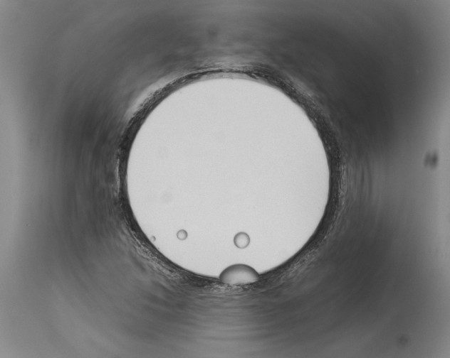 X0000113931214200911061212