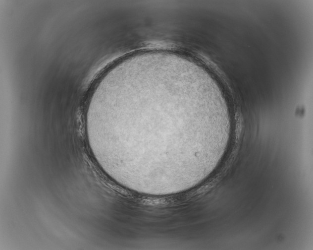X0000113931215200911061212