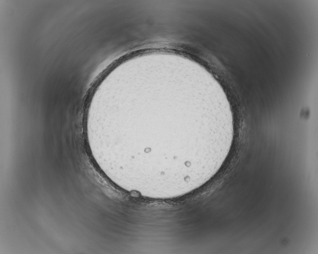 X0000113931216200911061212