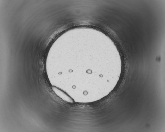 X0000113931218200911061212