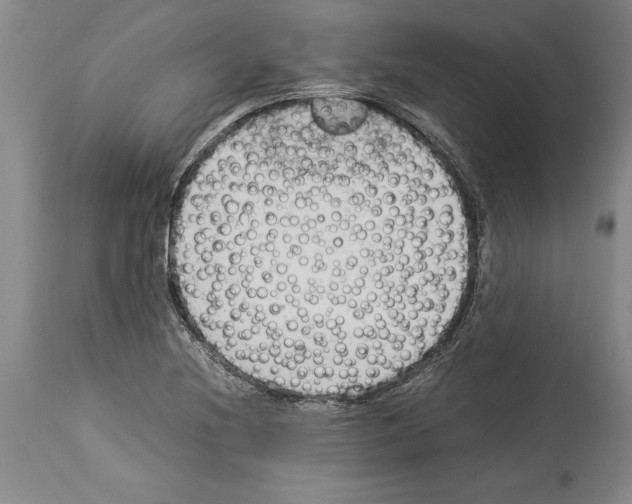 X0000113931220200911061212