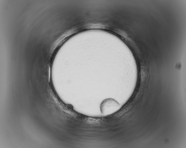 X0000113931221200911061212