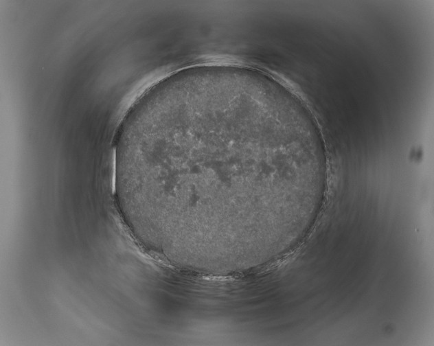 X0000113931223200911061212