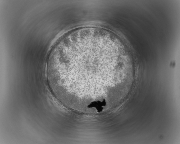 X0000113931224200911061212