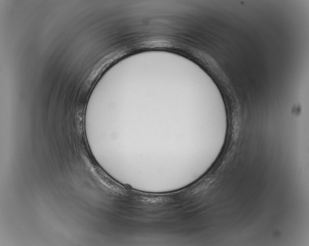 X0000113931225200911061212