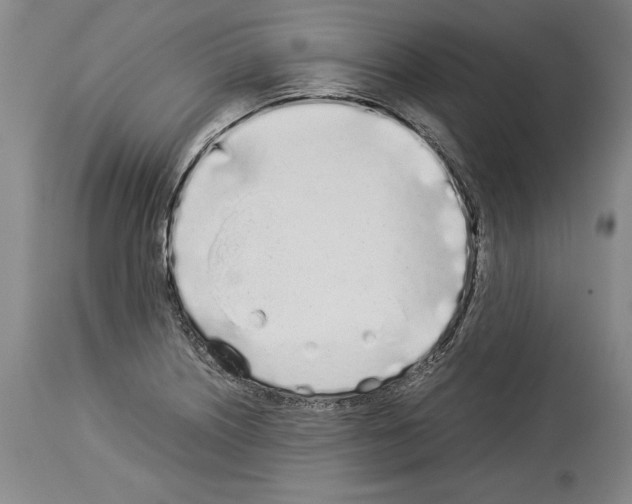 X0000113931226200911061212
