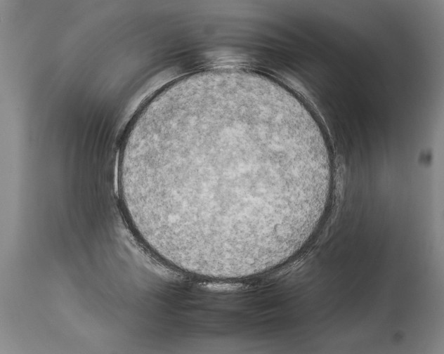 X0000113931227200911061212