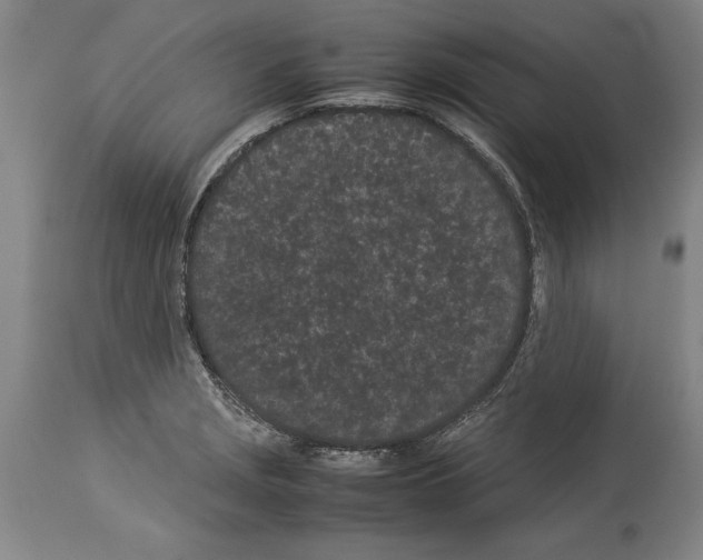 X0000113931229200911061212