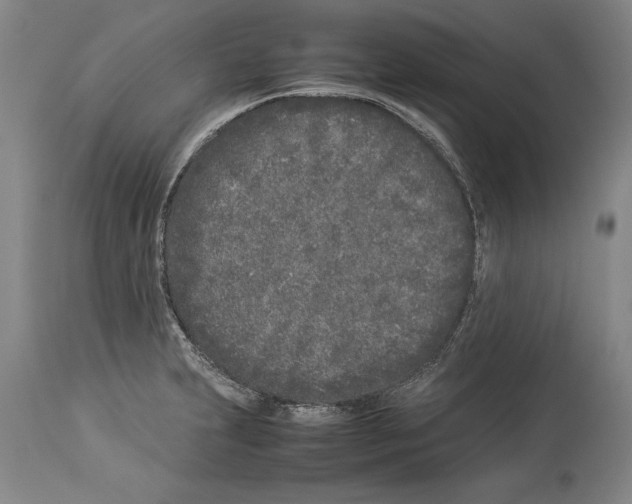 X0000113931231200911061212