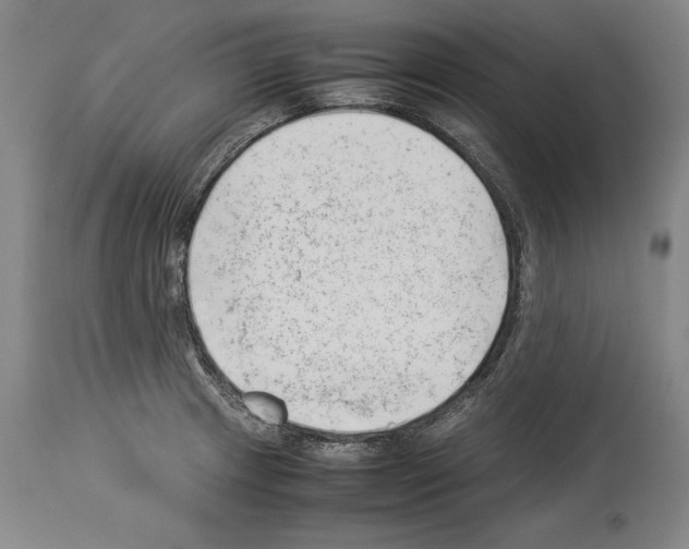X0000113931233200911061212