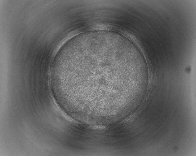 X0000113931235200911061212