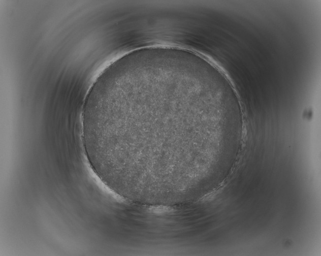 X0000113931239200911061212