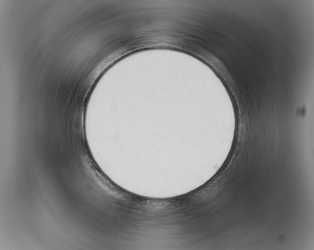 X0000113931242200911061212