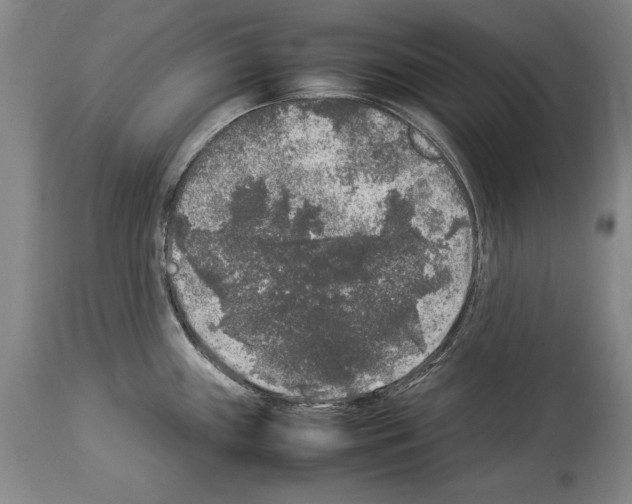 X0000113931243200911061212