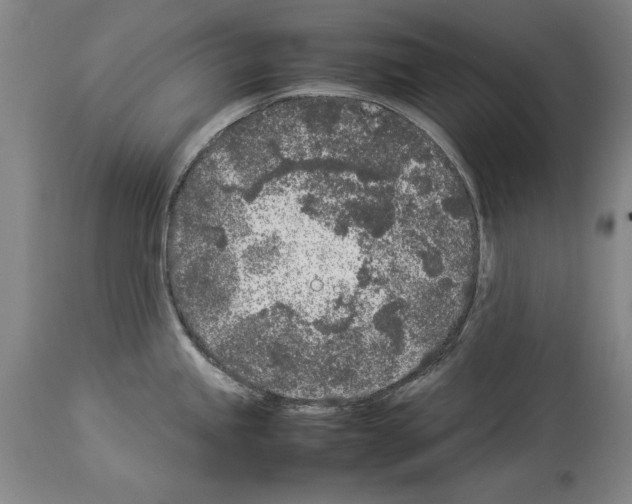 X0000113931245200911061212