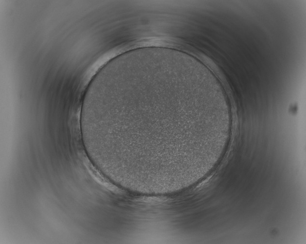 X0000113931246200911061212
