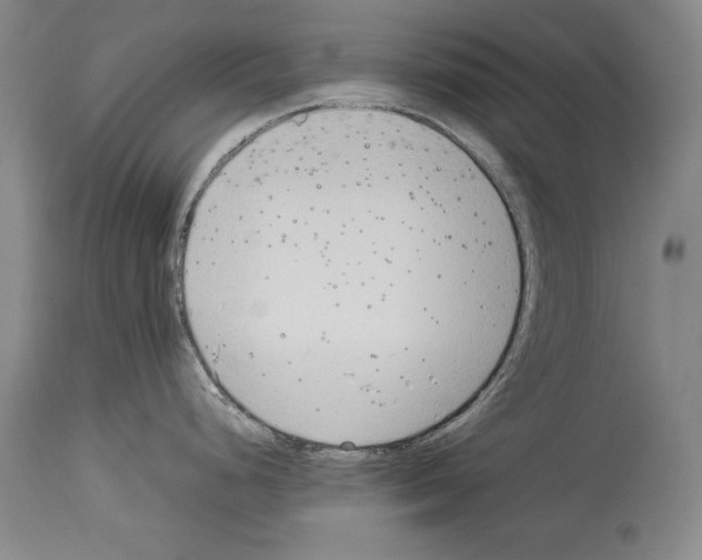 X0000113931248200911061212