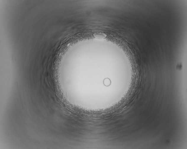 X0000113931249200911061211
