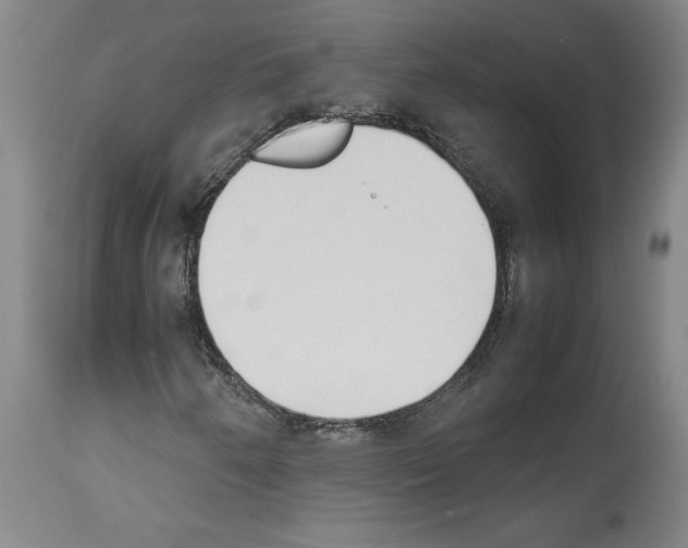 X0000113931250200911061211