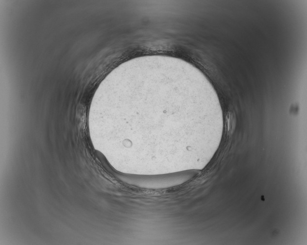 X0000113931251200911061211