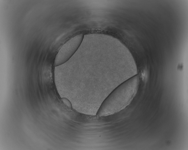 X0000113931252200911061211