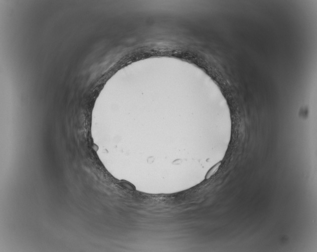 X0000113931253200911061211