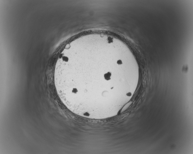 X0000113931255200911061211